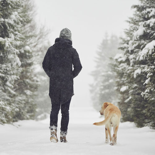 Proteggere le zampe del cane in inverno