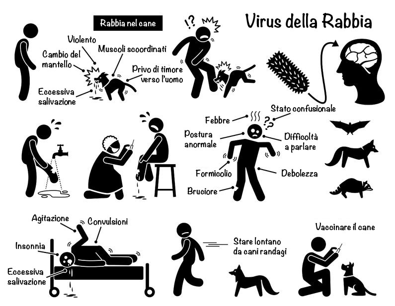 giardia cane contagio uomo