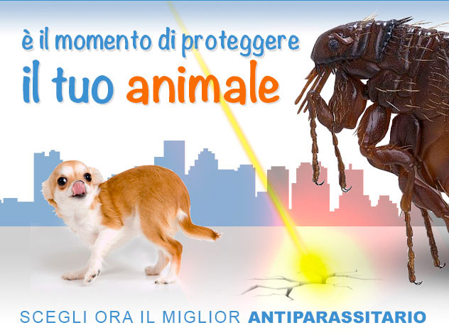 Antiparassitari per cane