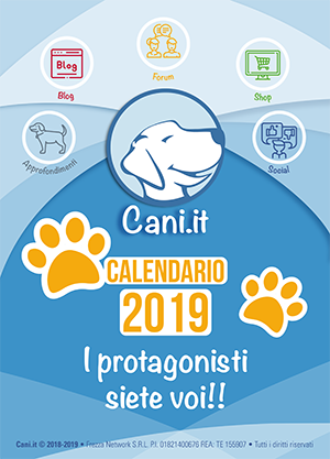 Calendario 2019