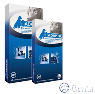 Adaptil Compresse